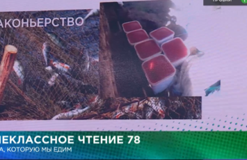 Скриншот трансляции: окунь вместо лосося крупным планом — 17.24