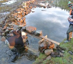 Pavel helps to install video cameras for monitoring stickleback at the entrance to the Kolyushkovaya lagoon. 2019, Ph.: D.L. Lajus