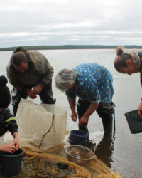 Anastasia, Mikhail and Tatyana Ivanovs and Anna count the stickleback caught by a seine. 2015.