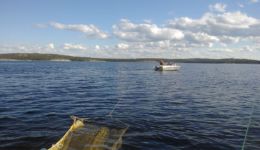 Trawling on the GKR (Great Keretsky Raid).